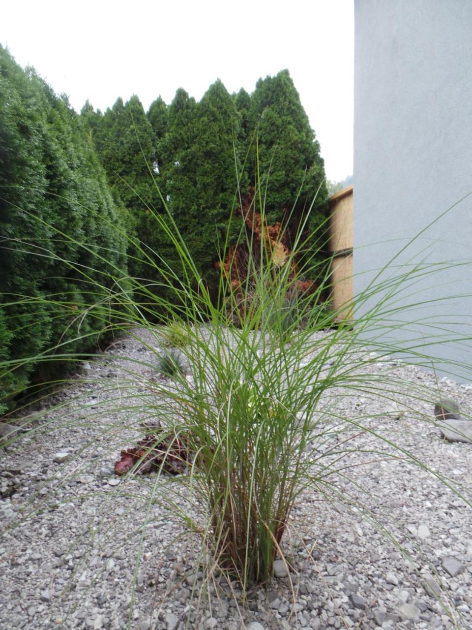 Apartament Burnout Wildalps Wildalpen Zewnętrze zdjęcie